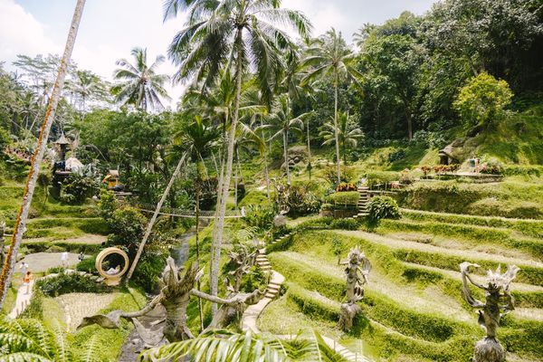 ▲▼峇里島必訪新景點！享受叢林絕美景致　無邊際泳池、夢幻鞦韆成網美打卡熱點。（圖／部落客黑皮提供）