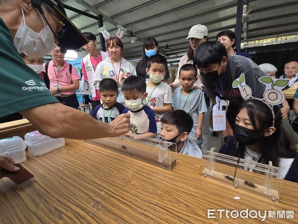 ▲雲林家扶中心日辦理，認養人與服務兒童、家眷相見歡活動，共同體驗採摘無毒農作感受最安心的滋養 。（圖／記者王悉宇翻攝）