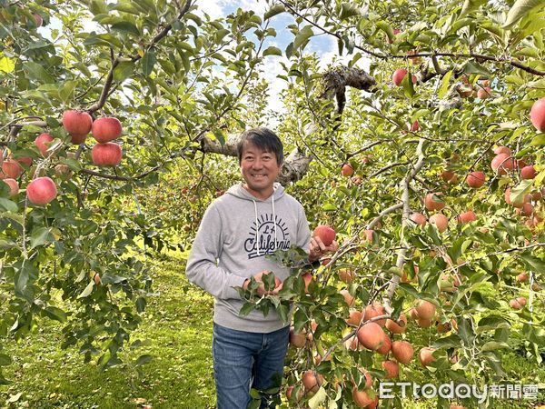 ▲▼日本青森蘋果。（圖／記者林育綾攝）