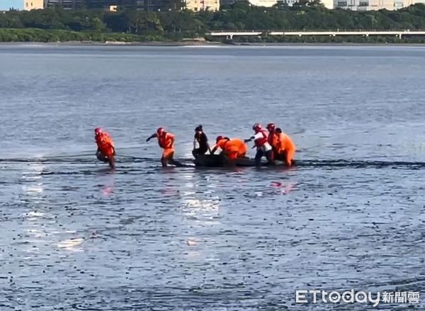 ▲侏儒抹香鯨「母帶子」擱淺淡水河　「翻滾掙扎」海巡出動救援。（圖／網友陳先生提供，請勿隨意翻拍，以免侵權。）