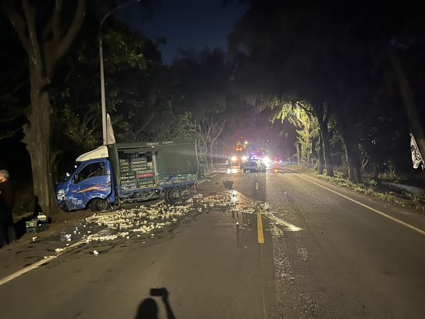 ▲21歲男駕駛閃貓咪撞蛋車釀火燒車意外。（圖／民眾提供）