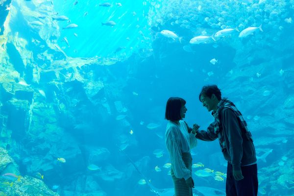 ▲2024桃園Xpark冬の水族館戀愛物語11月11日至12月31日開跑。（圖／Xpark提供）