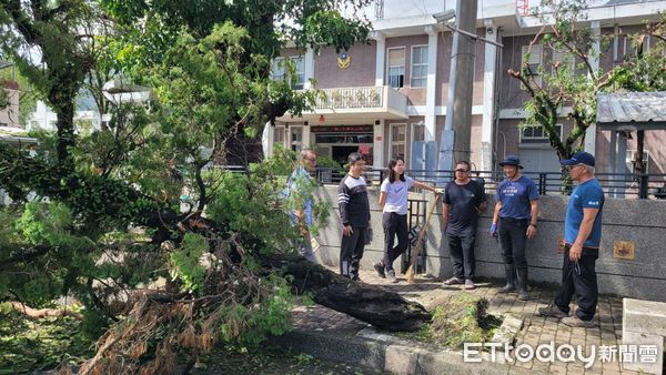 ▲警攜手友軍單位搶救「彎腰」龍柏，順利救援「扶正」。（圖／記者楊漢聲翻攝）