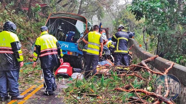 颱風期間一輛小貨車行經合歡山公路，女乘客慘遭路樹壓死。（讀者提供）