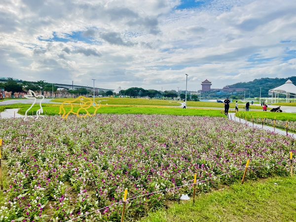 ▲北市兩大河濱公園花況。（圖／北市水利處提供）