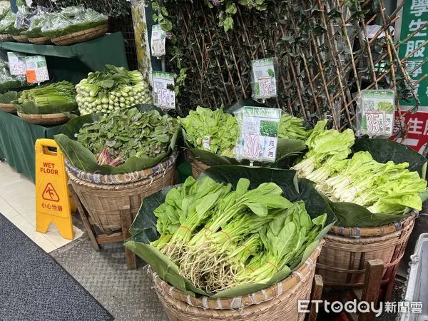 ▲受颱風影響，菜價仍在高價。（圖／記者楊惠琪攝）