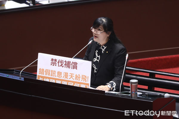 ▲立委伍麗華質詢。（圖／記者林敬旻攝）