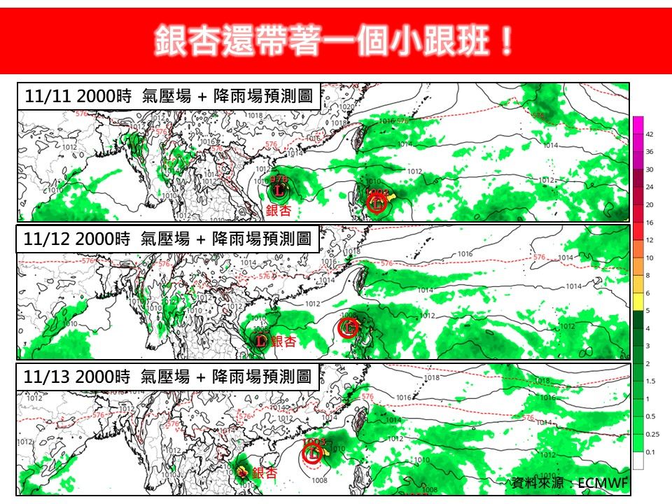 ▲▼銀杏還帶著一個小跟班！。（圖／翻攝臉書／林老師氣象站）