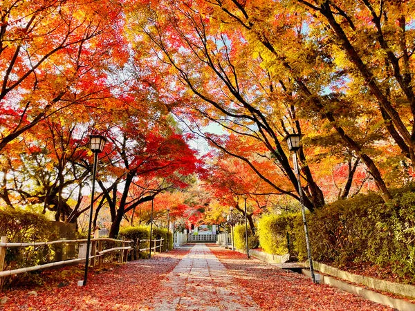 ▲▼長岡京天滿宮。（圖／京都府觀光聯盟）