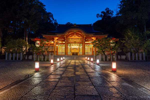 ▲▼長岡天満宮花灯路試験点灯。（圖／三宅徹攝影）