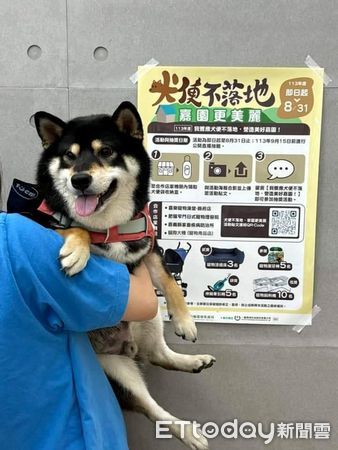 ▲▼嘉義縣環保局推動「犬便不落地」，共創宜居環境   。（圖／嘉義縣政府提供）