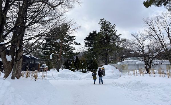 ▲▼造訪北海道最古老動物園！見證北極熊雪地漫步　宛如踏入野外森林。（圖／部落客CJ夫人提供）