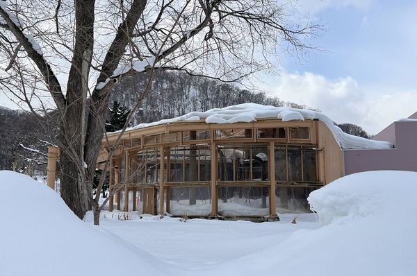 ▲▼造訪北海道最古老動物園！見證北極熊雪地漫步　宛如踏入野外森林。（圖／部落客CJ夫人提供）