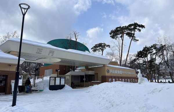 ▲▼造訪北海道最古老動物園！見證北極熊雪地漫步　宛如踏入野外森林。（圖／部落客CJ夫人提供）