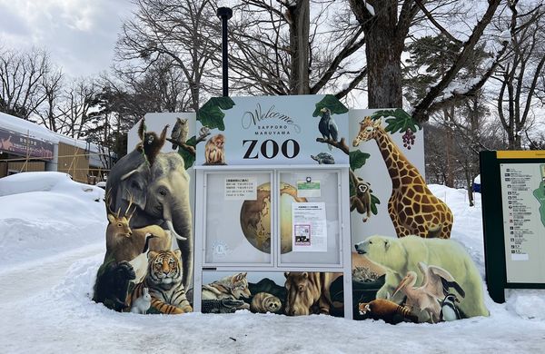 ▲▼造訪北海道最古老動物園！見證北極熊雪地漫步　宛如踏入野外森林。（圖／部落客CJ夫人提供）