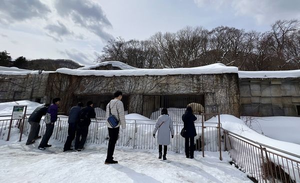 ▲▼造訪北海道最古老動物園！見證北極熊雪地漫步　宛如踏入野外森林。（圖／部落客CJ夫人提供）