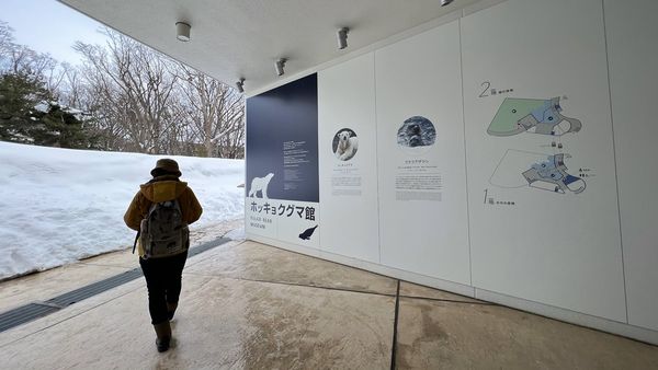 ▲▼造訪北海道最古老動物園！見證北極熊雪地漫步　宛如踏入野外森林。（圖／部落客CJ夫人提供）