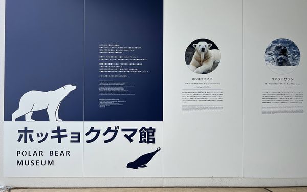 ▲▼造訪北海道最古老動物園！見證北極熊雪地漫步　宛如踏入野外森林。（圖／部落客CJ夫人提供）