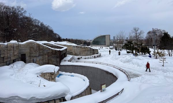 ▲▼造訪北海道最古老動物園！見證北極熊雪地漫步　宛如踏入野外森林。（圖／部落客CJ夫人提供）