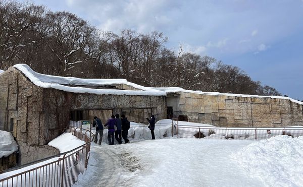 ▲▼造訪北海道最古老動物園！見證北極熊雪地漫步　宛如踏入野外森林。（圖／部落客CJ夫人提供）