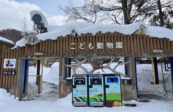 ▲▼造訪北海道最古老動物園！見證北極熊雪地漫步　宛如踏入野外森林。（圖／部落客CJ夫人提供）