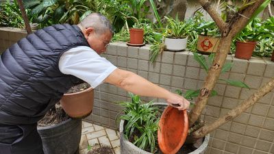 高雄市爆入秋後「首例本土登革熱」　感染源不明！