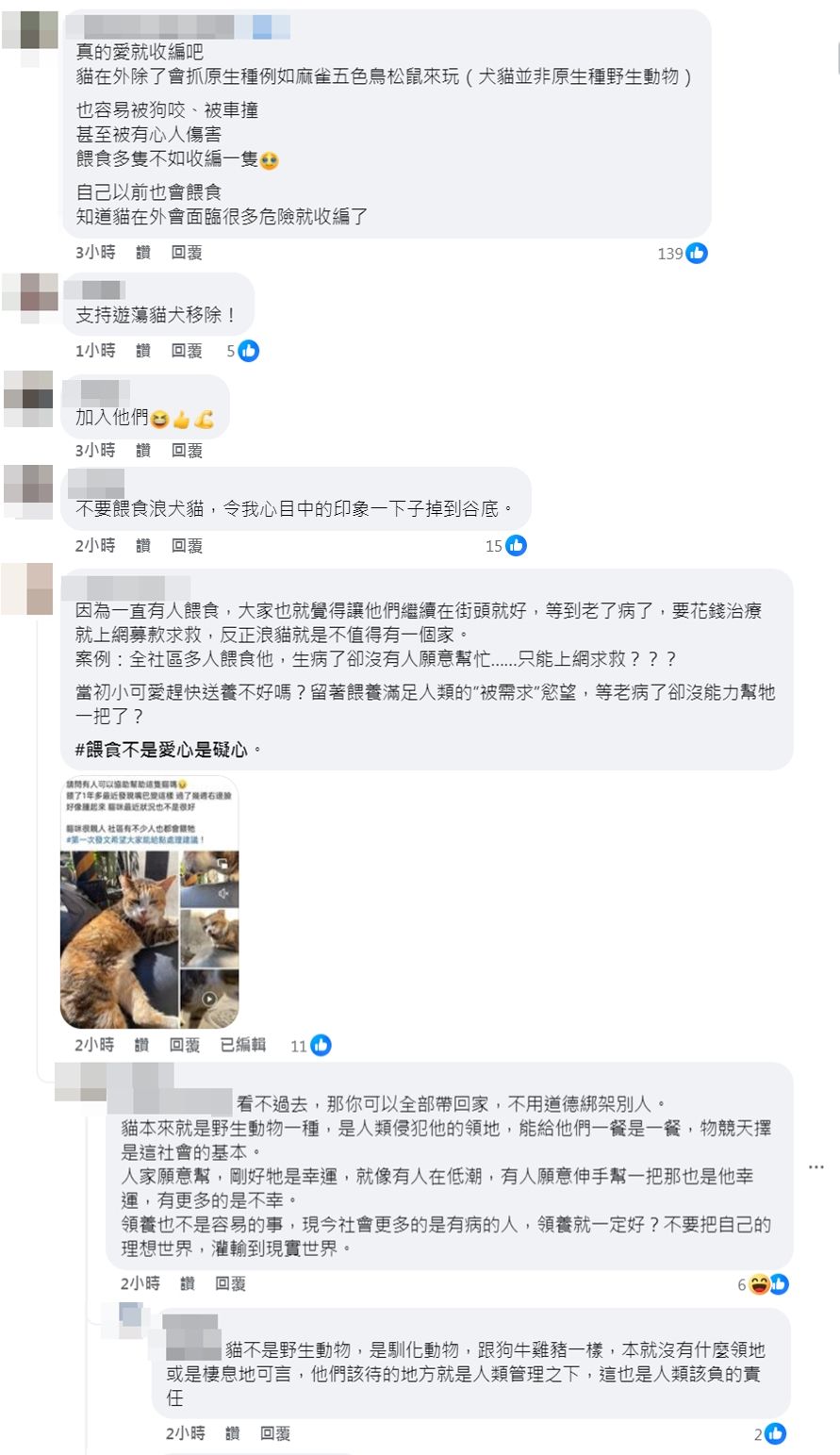 ▲▼吳慷仁讚店家「一排碗餵浪貓」兩派網友戰翻：造孽。（圖／翻攝自Facebook／吳慷仁Kang Ren Wu）