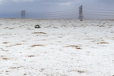 沙烏地阿拉伯下雪了！荒蕪沙漠變成「銀白大地」　驚人畫面曝光