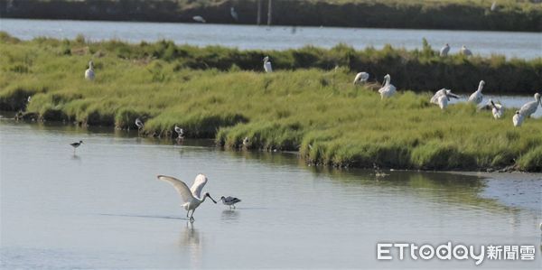 ▲交通部觀光署雲嘉南濱海國家風景區管理處主辦的第12屆「2024台灣國際觀鳥馬拉松」大賽， 10日舉行閉幕典禮。（圖／記者林東良翻攝，下同）