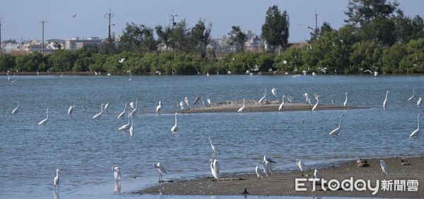 ▲交通部觀光署雲嘉南濱海國家風景區管理處主辦的第12屆「2024台灣國際觀鳥馬拉松」大賽， 10日舉行閉幕典禮。（圖／記者林東良翻攝，下同）