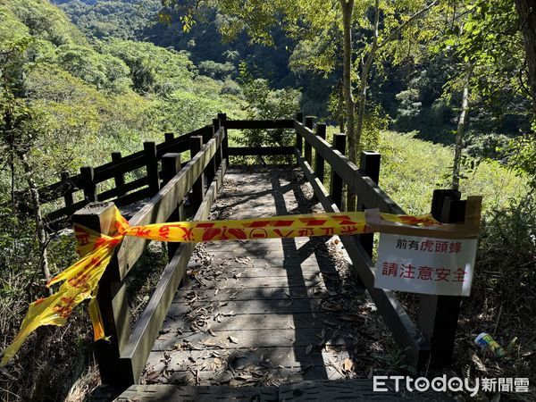 ▲▼       苗栗泰安水雲瀑布虎頭蜂螫人，4人緊急送醫，現場拉起封鎖線      。（圖／記者楊永盛翻攝）