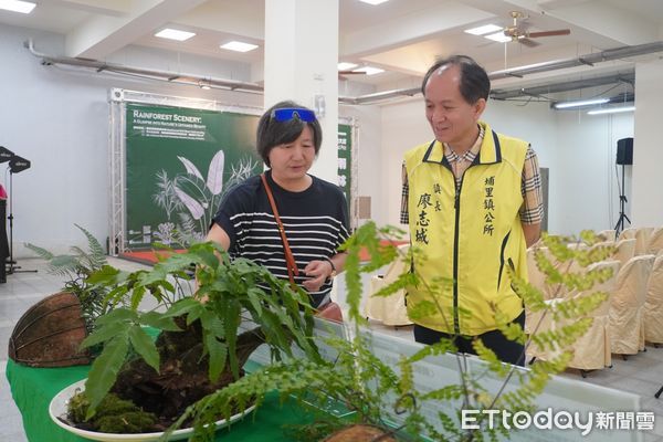 ▲2024台灣熱帶雨林、觀葉植物精品大賞於11月15日起跑。（圖／埔里鎮公所提供）