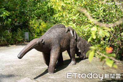 「食蟻獸揹寶寶」超逼真雕像藏身動物園　樹懶躲起來觀察遊客！