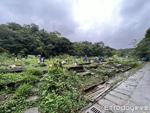 ▲▼        內湖菜園     。（圖／記者項瀚攝）