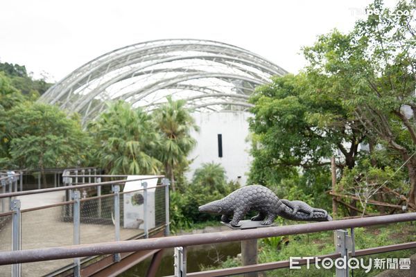 ▲「食蟻獸揹寶寶」超逼真雕像藏身動物園　樹懶躲起來觀察遊客！（圖／台北市立動物園提供）