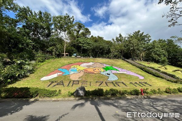 ▲「食蟻獸揹寶寶」超逼真雕像藏身動物園　樹懶躲起來觀察遊客！（圖／台北市立動物園提供）