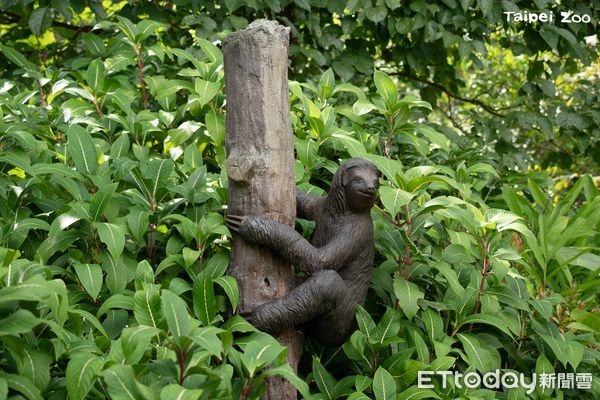 ▲「食蟻獸揹寶寶」超逼真雕像藏身動物園　樹懶躲起來觀察遊客！（圖／台北市立動物園提供）