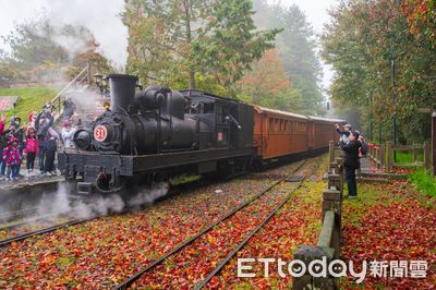 阿里山賞楓火車　4梯次專車限額320人