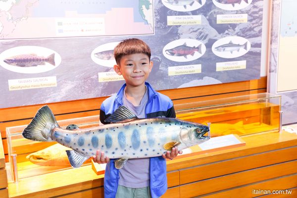 ▲▼近距離觀看台灣國寶魚!櫻花鉤吻鮭生長資料完整記錄　「模擬自然溪流生態」絕對不能錯過。（圖／部落客台南好food遊提供）