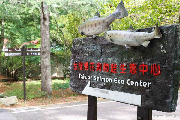 ▲▼近距離觀看台灣國寶魚!櫻花鉤吻鮭生長資料完整記錄　「模擬自然溪流生態」絕對不能錯過。（圖／部落客台南好food遊提供）