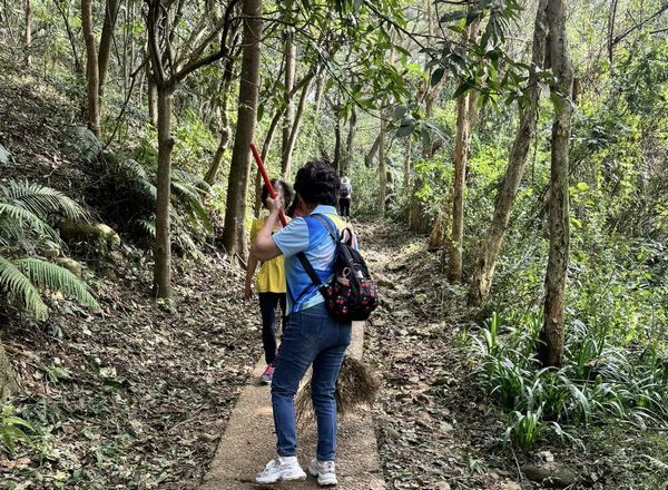 ▲桃園藍營民代母親登山遭虎頭蜂螫傷