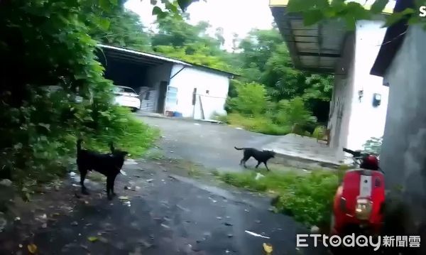 ▲枋寮警分局會同高雄市內湖警分局逮獲呂姓通緝犯 。（圖／記者陳崑福翻攝）