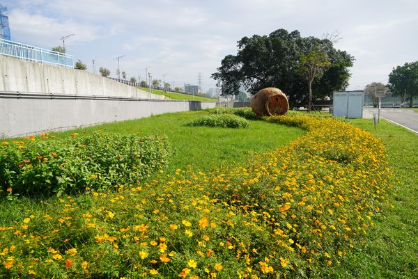 ▲關渡花海河濱區展期延長至11/24。（圖／北市工務局提供）