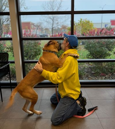 狗狗米妮回家了。（圖／翻攝自Humane Society of Greater Niagara）