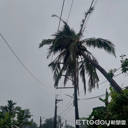 ▲台電屏東區處人員搶修停電           。（圖／記者陳崑福翻攝）