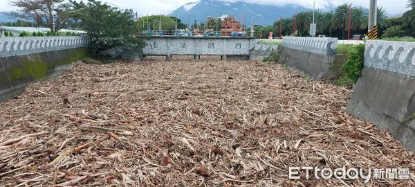 ▲▼南濱閘門前河道及抽水站調節池內都塞滿漂流木。（圖／花蓮市公所提供，下同）