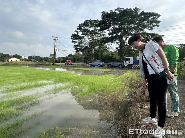 ▲立委陳亭妃強調，今日會勘後，已將蕎麥與黑豆災損情況通報農糧署，並再次敦促農業部加速處理。（圖／記者林東良翻攝，下同）