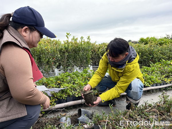 ▲苗圃監工為育苗幕後功臣。（圖／林業保育署南投分署提供）