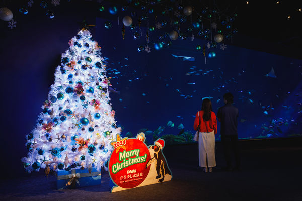 ▲▼沖繩DMM Kariyushi水族館聖誕節裝飾。（圖／業者提供）