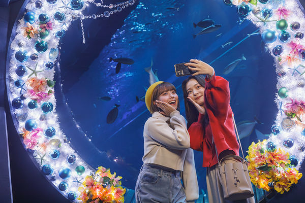 ▲▼沖繩DMM Kariyushi水族館聖誕節裝飾。（圖／業者提供）